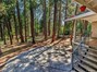 Wooded Front Yard!