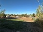Large Backyard