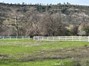 Fenced pasture