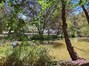Enjoy your very own pond surrounded by a variety of trees