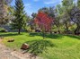 huge lawn area surrounded by shade trees.