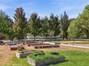 Here you go gardeners...established raised beds complete with compost surrounded by fruit trees and a garden shed