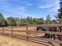 room for animals....including a tack room with 2 covered stalls