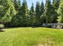 Lush lawn