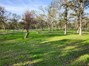 Front yard area