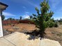 Yard as is