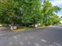 Corner Lot