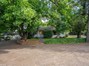 Mature Pecan Trees