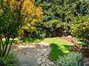 Shaded backyard