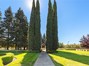 Side walk that leads between Cypress Trees