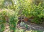 Chicken Coop