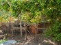 Chicken Coop