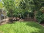 Lemon, Lime, grapefruit and Peach Trees