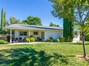 Covered Patio - Shade Trees