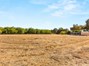 Pasture