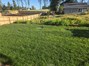 View of lush green grass in backyard with septic lids toward the back.