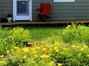 View of back patio area with French door leading to kitchen.