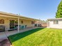 Lawn to Shed