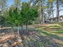 fruit trees