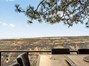 Patio Tree Top Views
