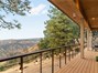 Patio Tree Top Views. Trex Decking.