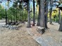 Cabin grounds