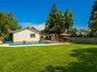 Sunny Suburban Backyard Pool Oasis
