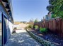 Backyard & Patio